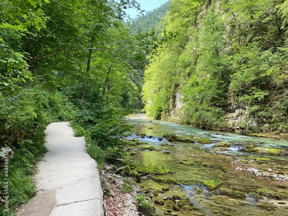 Hiking trail through Vintgar Gorge or Bled Gorge - Bled, Slovenia (Triglav National Park) - Wanderweg durch die Vintgar-Schlucht oder Vintgarklamm - Bled, Slowenien (Triglav-Nationalpark) Hiking trail through Vintgar Gorge or Bled Gorge - Bled, Slovenia (Triglav National Park) - Wanderweg durch die Vintgar-Schlucht oder Vintgarklamm - Bled, Slowenien (Triglav-Nationalpark)
