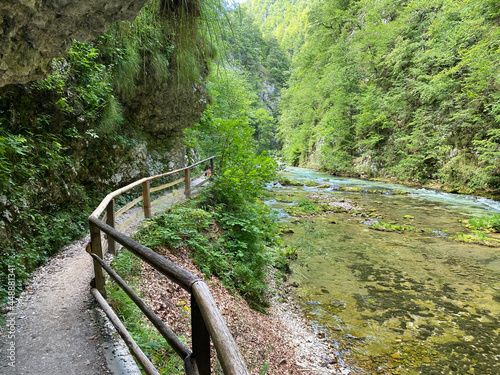 Hiking trail through Vintgar Gorge or Bled Gorge - Bled, Slovenia (Triglav National Park) - Wanderweg durch die Vintgar-Schlucht oder Vintgarklamm - Bled, Slowenien (Triglav-Nationalpark) photo