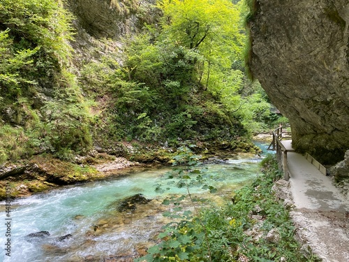 Hiking trail through Vintgar Gorge or Bled Gorge - Bled, Slovenia (Triglav National Park) - Wanderweg durch die Vintgar-Schlucht oder Vintgarklamm - Bled, Slowenien (Triglav-Nationalpark) photo