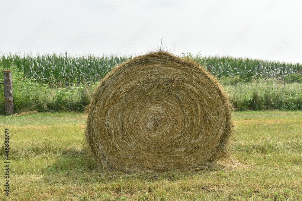 Hay Bale with a Corn Field in the Distance Hay Bale with a Corn Field in the Distance