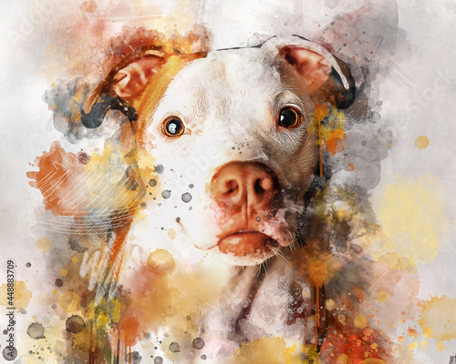 Fotobehang Watercolor Portrait of Pit Bull Terrier