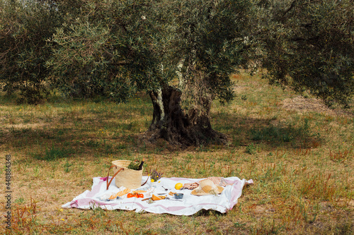 blanket prepared for the picnic