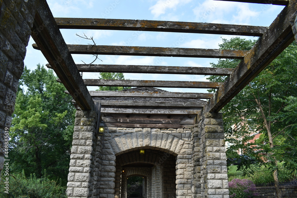 Obraz premium Wooden Arbor