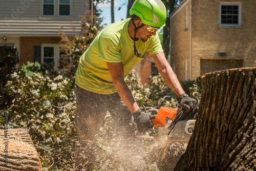 Tree service worker cutting a log