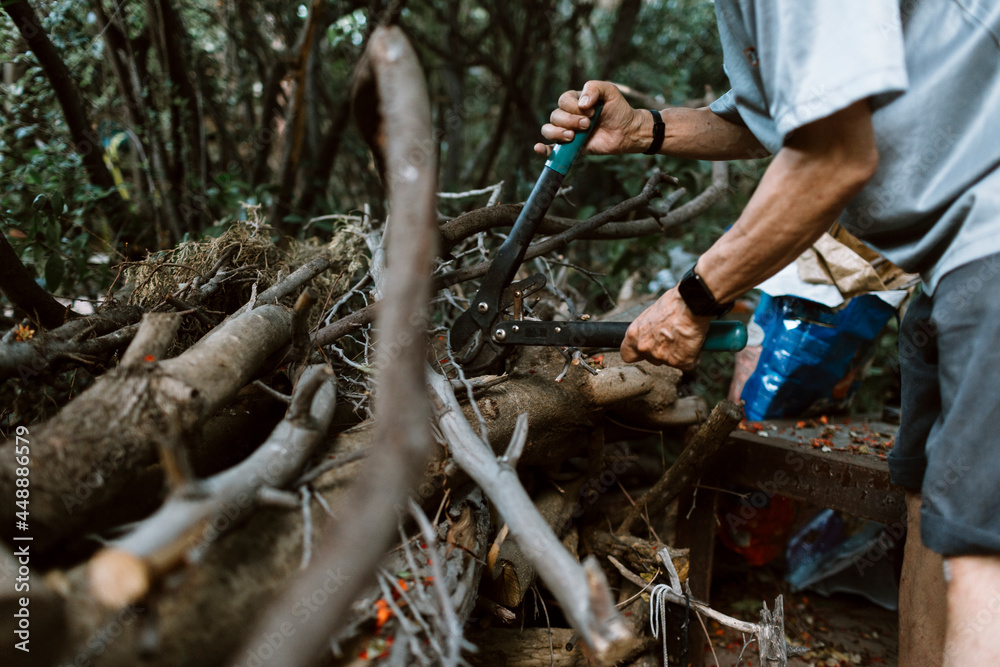 Senior man's arms cutting wood Senior man's arms cutting wood