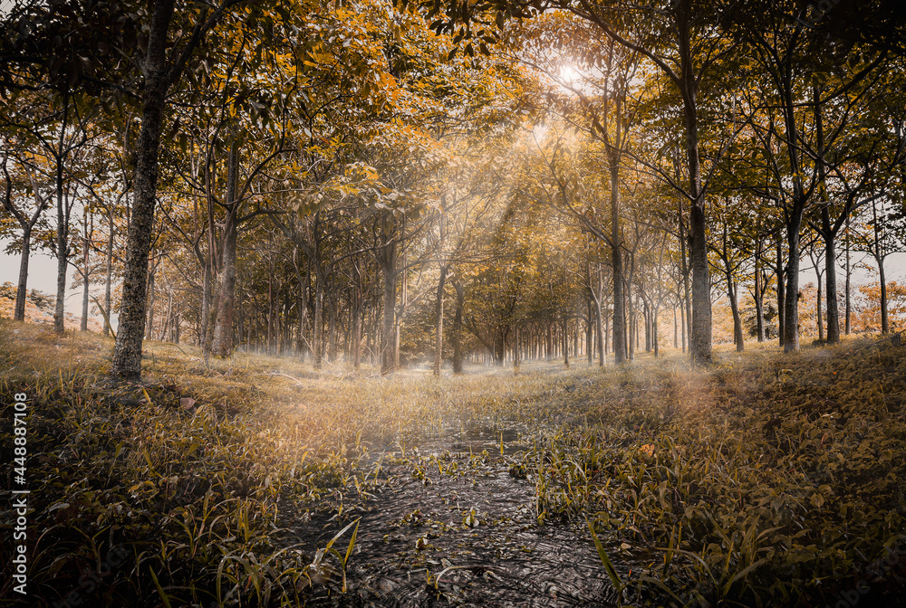 Fototapeta premium Colombia, Tolima