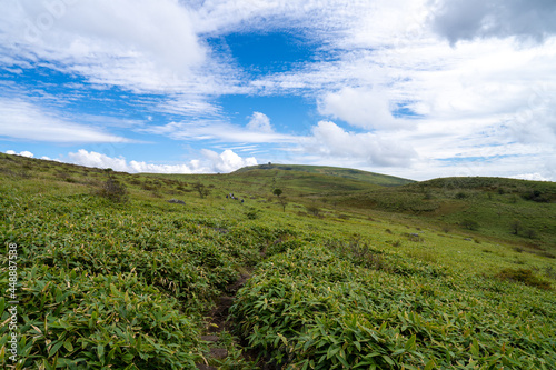 長野県諏訪市の霧ヶ峰を登山している風景 A view of climbing Kirigamine Peak in Suwa City, Nagano Prefecture.