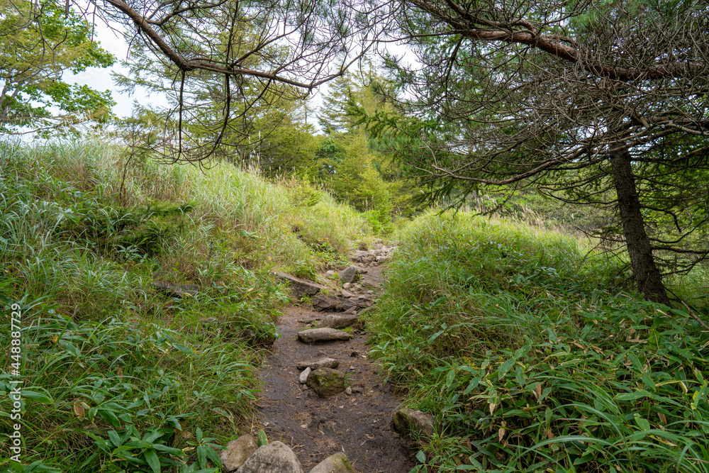 長野県諏訪市の霧ヶ峰を登山している風景 A view of climbing Kirigamine Peak in Suwa City, Nagano Prefecture. 長野県諏訪市の霧ヶ峰を登山している風景 A view of climbing Kirigamine Peak in Suwa City, Nagano Prefecture.