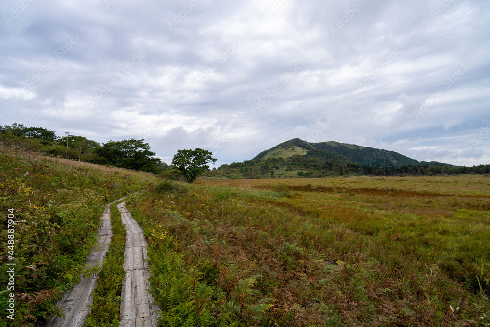 Fototapeta premium 長野県諏訪市の霧ヶ峰を登山している風景
