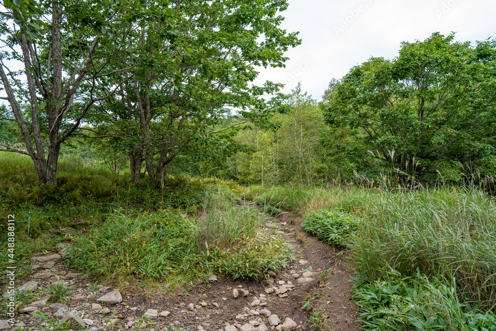 長野県諏訪市の霧ヶ峰を登山している風景 長野県諏訪市の霧ヶ峰を登山している風景