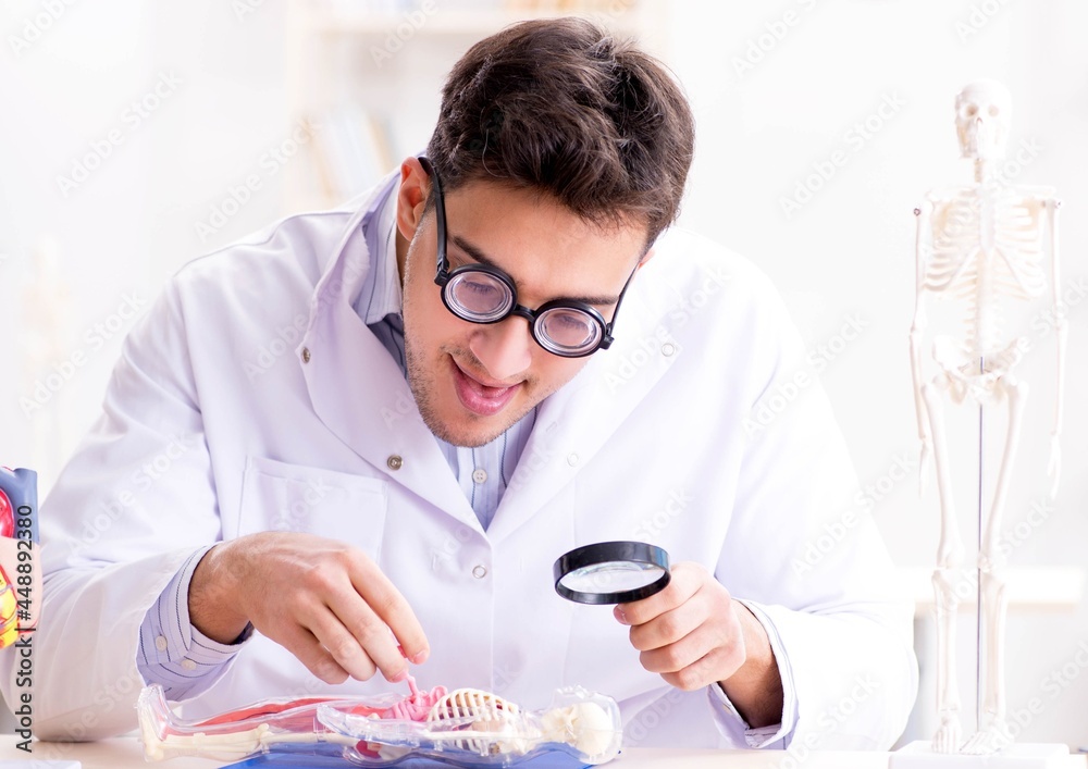 Crazy doctor studying human skeleton Crazy doctor studying human skeleton