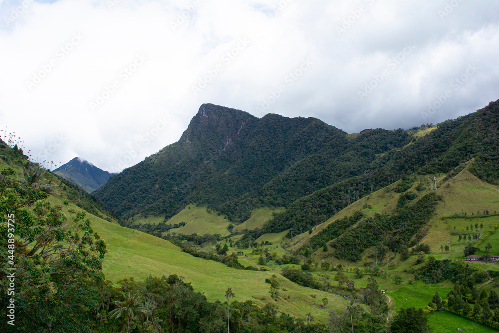 valle cocora