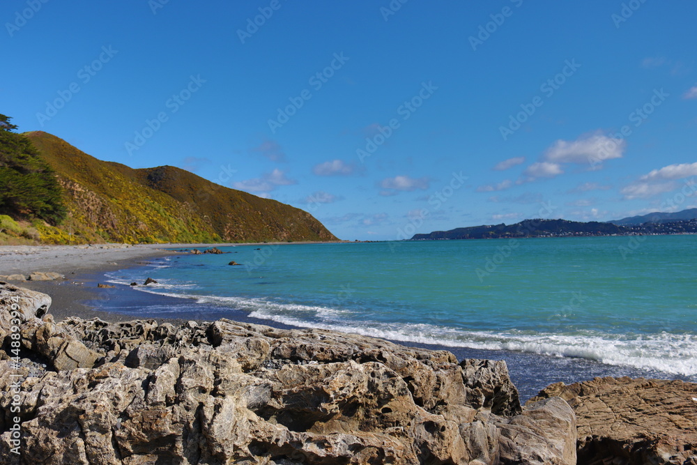 Waves and rocks from Eastbourne beach, Wellington harbour, New Zealand 