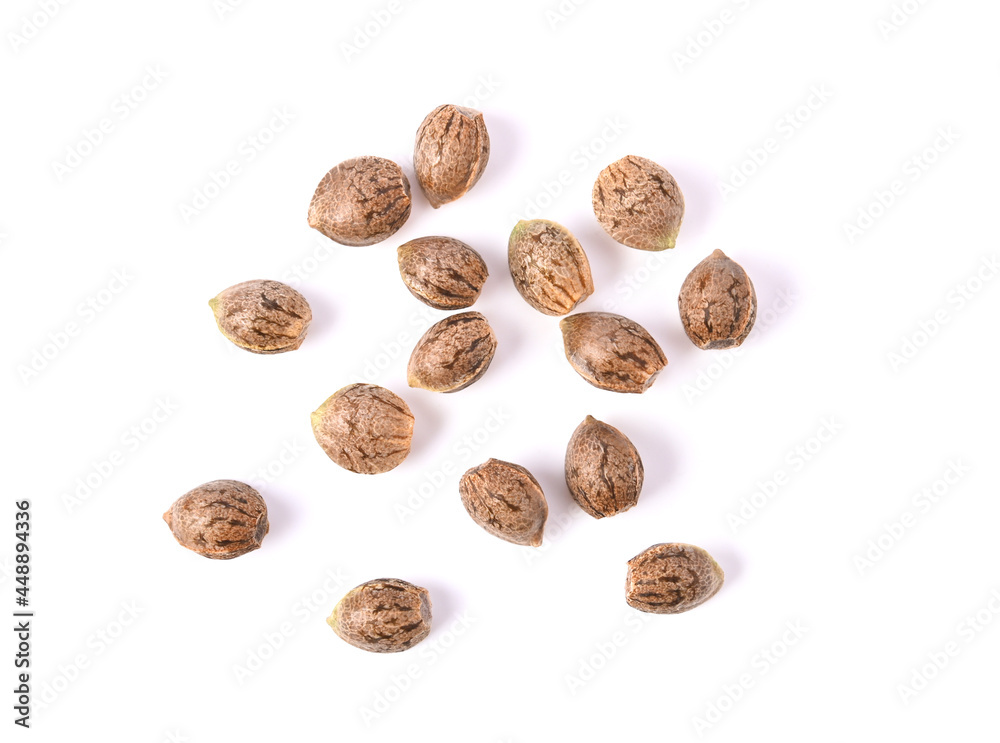 Cannabis seeds, Marijuana seeds isolated on white. Top view Cannabis seeds, Marijuana seeds isolated on white. Top view