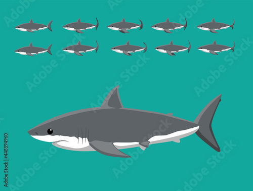 Animal Animation Sequence Great White Shark Cartoon Vector