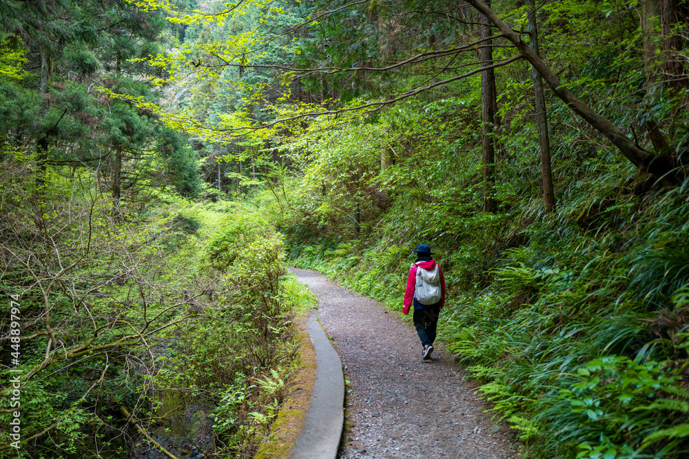 東京都八王子市の高尾山を登る女性がいる風景 A view of a woman climbing Mt. Takao in Hachioji, Tokyo. 東京都八王子市の高尾山を登る女性がいる風景 A view of a woman climbing Mt. Takao in Hachioji, Tokyo.