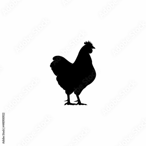 Beauty Chicken Flat Vector Icon, Chicken Vector Silhouette