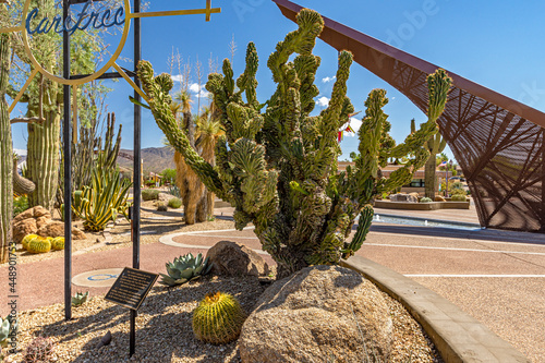 The Carefree Desert Garden Sundial in Arizona is the largest sundial in the United States. It accupies a beautiful desert garden.