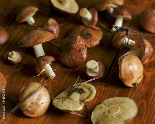 mushrooms on a wooden table photo