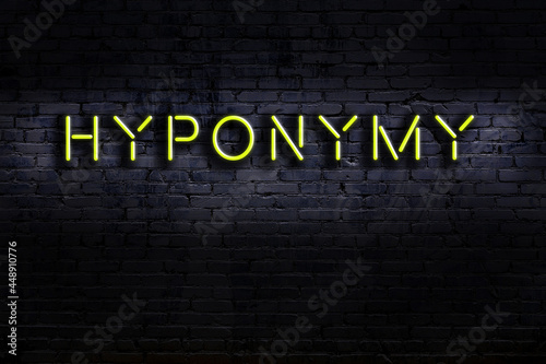 Neon sign. Word hyponymy against brick wall. Night view