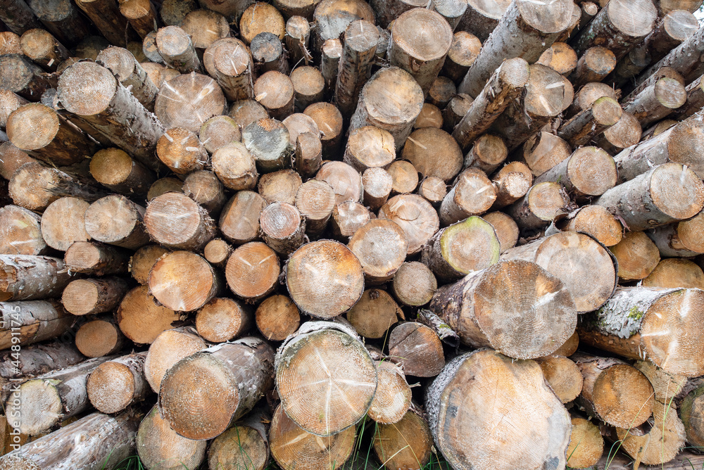 raw wood, stack of wooden planks, cut pine stacked for seasoning raw wood, stack of wooden planks, cut pine stacked for seasoning