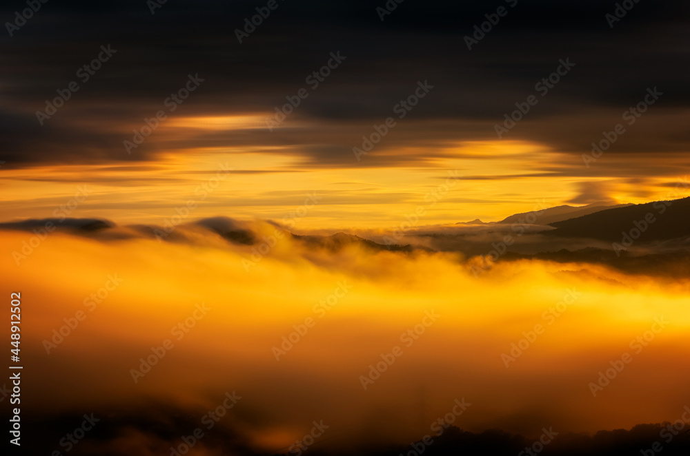 Beautiful golden mist in the morning. Sea of fog.