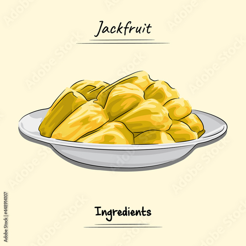 Jackfruits Illustration Sketch Dan Vector Style, Traditional Food From Aceh, Good to use for restaurant menu, Indonesian food recipe book, and food content.