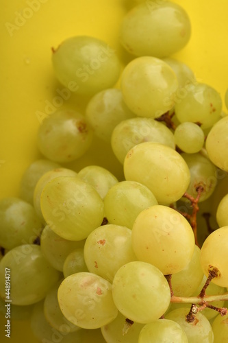 wine grapes.