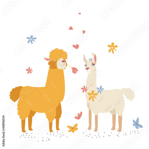 A male honey-colored llama gives a flower to his female beige-colored llama. Vector cartoon illustration isolated on a white background for postcards, prints, T-shirts, invitations