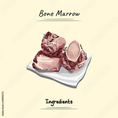 Bone Marrow Illustration. Ingredients For food element. Sketch and Vector Style. food element, animal bone, and ingredients concept.