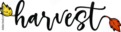 autumn harvest design | fall leaves
