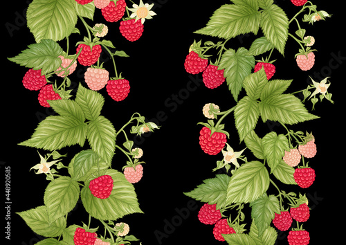 Raspberry. Ripe berries on branch. Seamless pattern, background. Graphic drawing, engraving style. Vector illustration on black background.