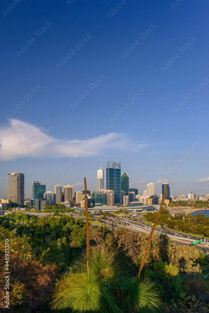 Late afternoon view of Perth city and Mitchell Freeway seen from Kings Park. Perth is a modern and vibrant city and is the capital of Western Australia, Australia.