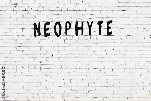 Εκτύπωση καμβά Inscription neophyte painted on white brick wall