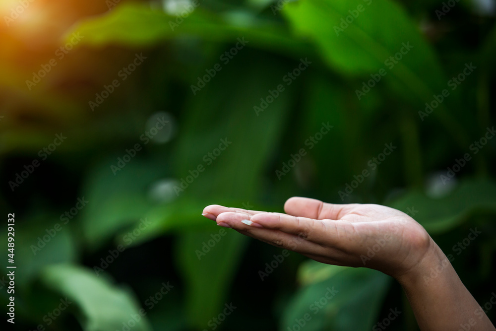 Technology, hand holding with environment Icons over the Network connection on green background