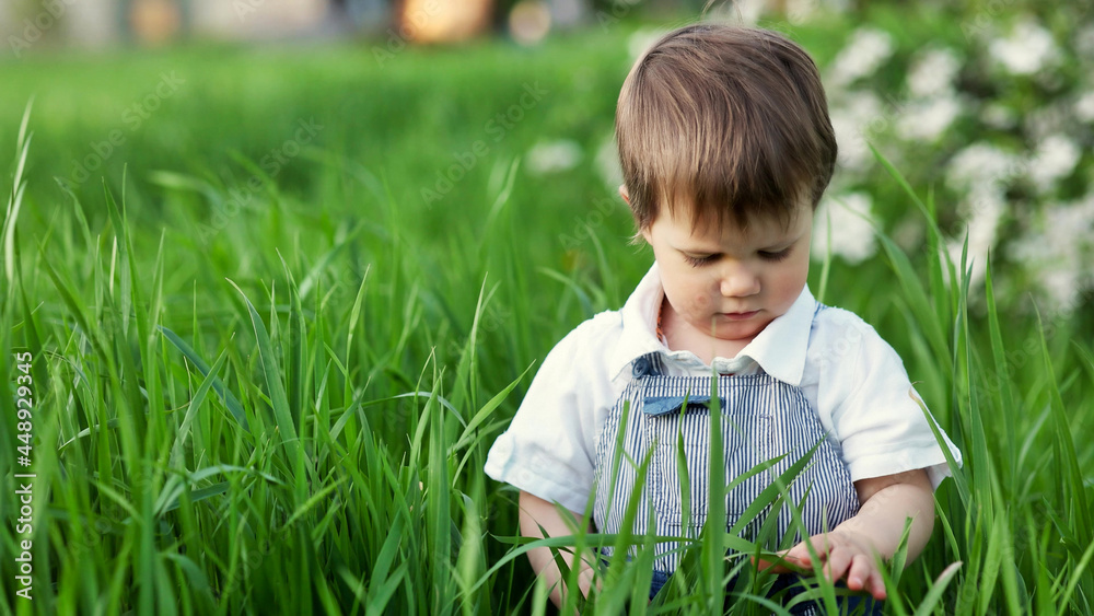 A cute child in a blue overalls and blue eyes plays funny in the tall green grass in a green blooming park A cute child in a blue overalls and blue eyes plays funny in the tall green grass in a green blooming park