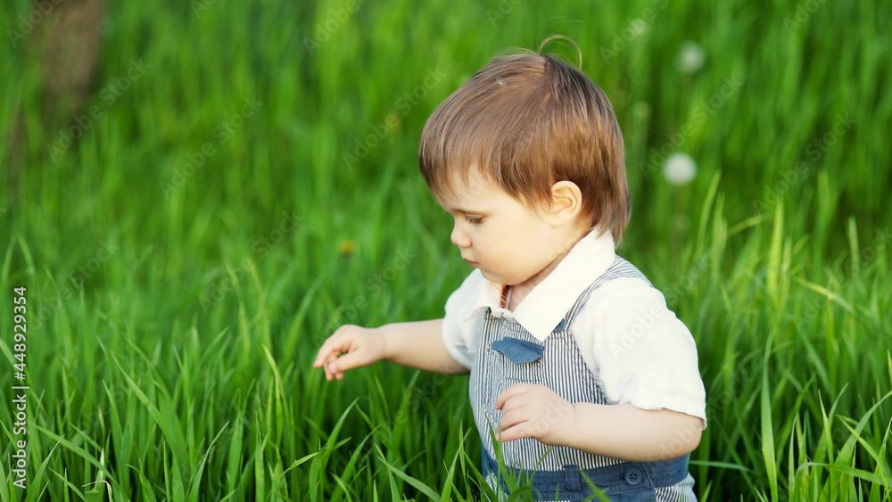 A cute child in a blue overalls and blue eyes plays funny in the tall green grass in a green blooming park A cute child in a blue overalls and blue eyes plays funny in the tall green grass in a green blooming park