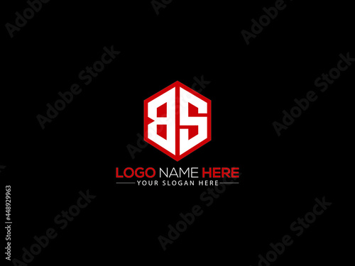 Letter BS Logo, creative bs logo icon vector for your brand photo