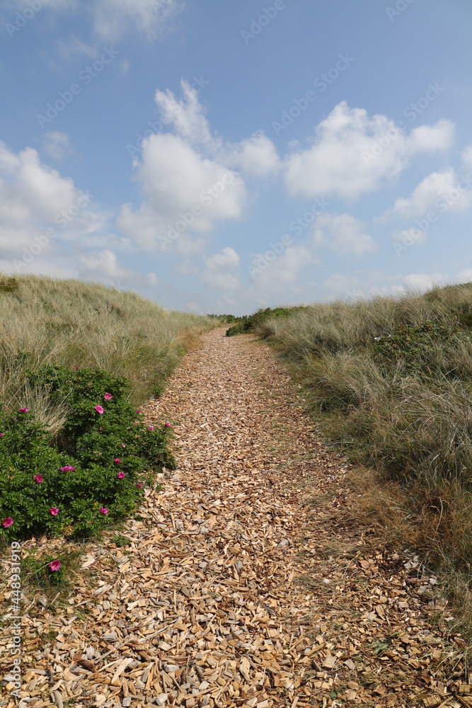 a beach access on the North Sea beach in Denmark 