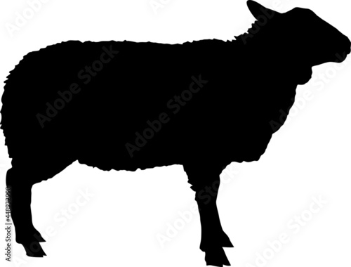 Ram standing side view. Black silhouette of a ram in full growth. Vector illustration on a white background.