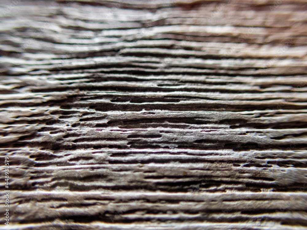 selective focus texture old wooden table, beautiful pattern, brown Background image for designing to insert text. selective focus texture old wooden table, beautiful pattern, brown Background image for designing to insert text.