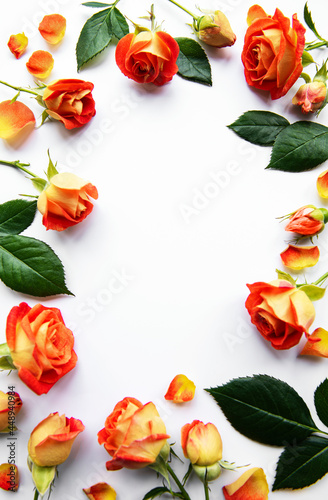 Flowers composition. Frame made of red roses and leaves on white background