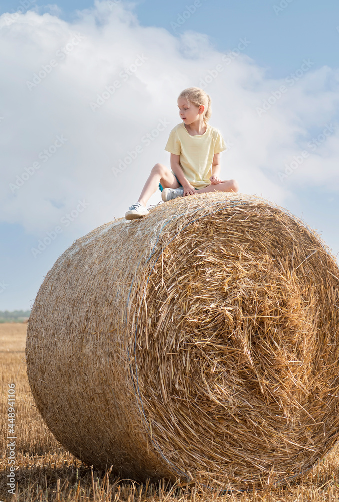 Little girl having fun in a wheat field on a summer day. Little girl having fun in a wheat field on a summer day.