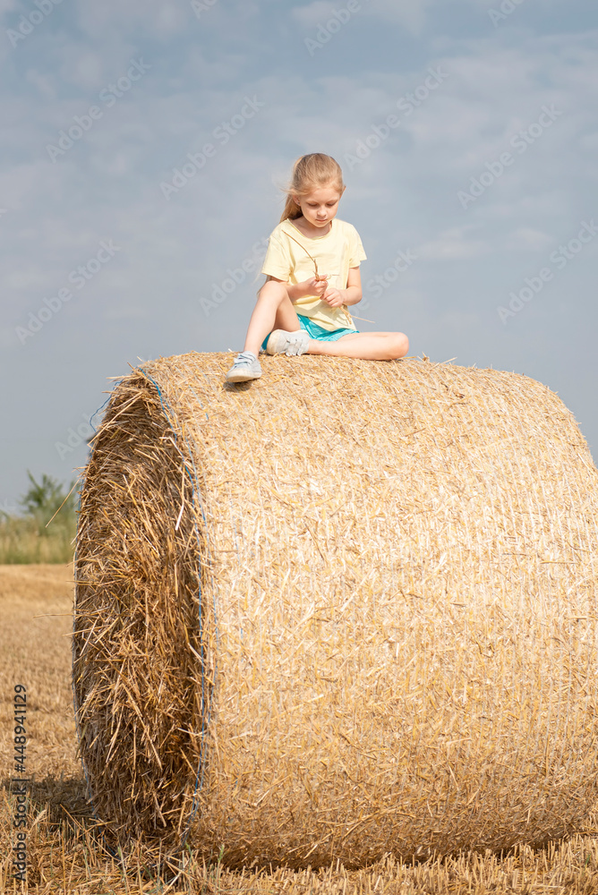 Little girl having fun in a wheat field on a summer day. Little girl having fun in a wheat field on a summer day.