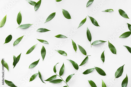Green tea leaves on light background