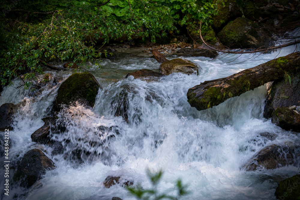 Obraz premium a strong flow in a mountain creek with melting water from the alps in summer
