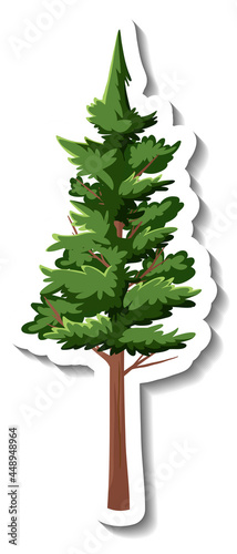 Sticker evergreen tree on white background