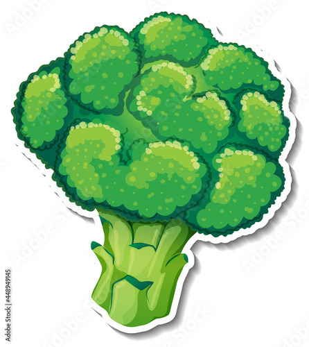 Broccoli sticker on white background