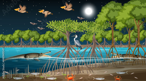 Mangrove forest landscape scene at night with many different animals