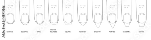 Fotografia Manicure most popular fashion nail shapes flat style vector illustration set isolated on white background